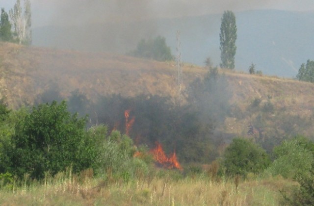 Три пожара горят в момента. Единият до жп линията край Дяково