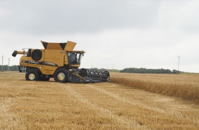 332 кг/дка е добивът на пшеница в областта