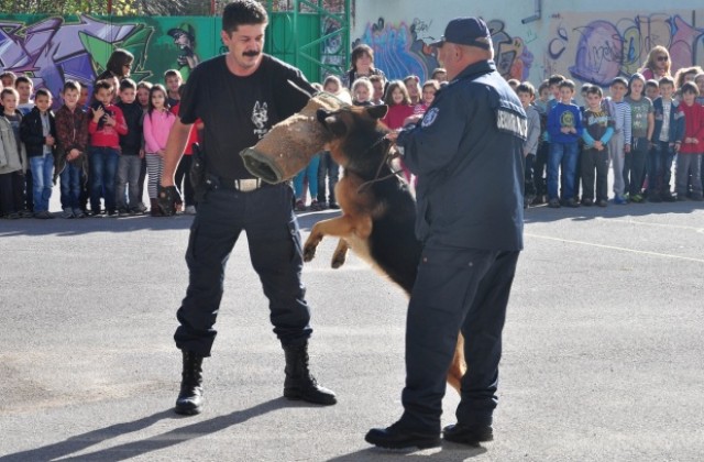 Кучето Арлет хвана престъпник в двора на училище Св. П. Евтимий