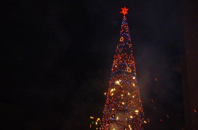 Палят светлините на коледната елха в Добрич