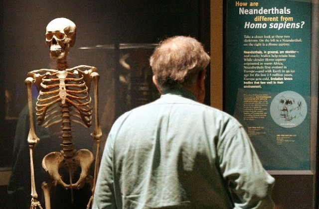 Неандерталците са говорили като съвременните хора