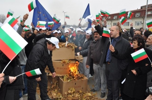 Тютюнопроизводители от Гоцеделчевско готови за протест