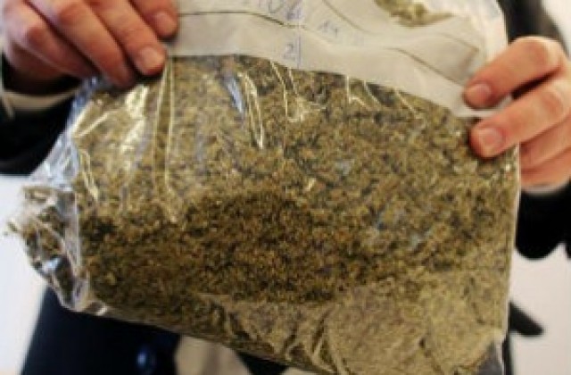 2,2 тона марихуана хванати в Албания