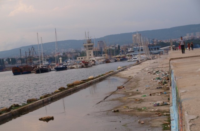 Варна се включва в голямото почистване