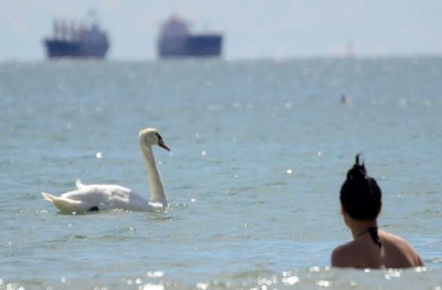 Кои са най-чистите и най-мръсните плажове във Варна този сезон