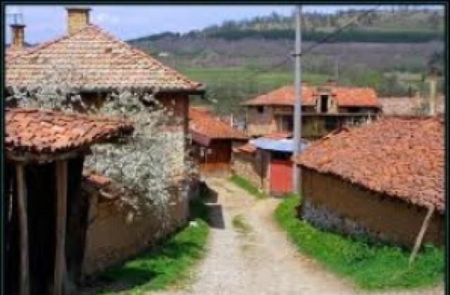 Наводнени къщи и дворове в село Турия
