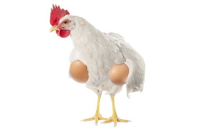 Яйцето или кокошката?