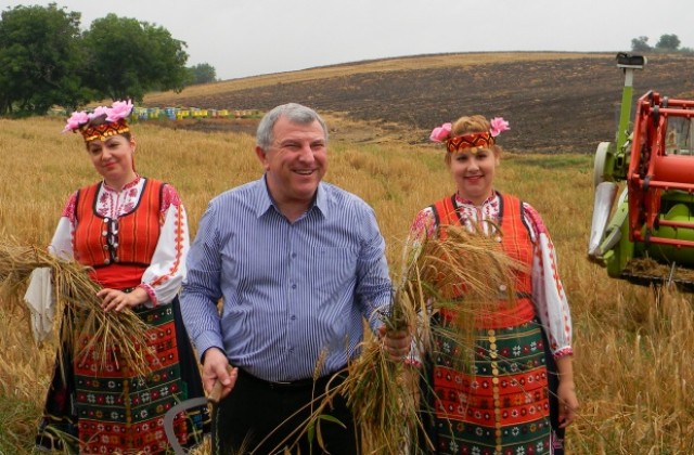Министър Греков откри жътвената кампания край Д. Оряховица, очаква добра реколта въпреки дъждовете