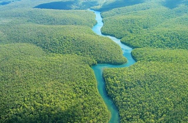 Нова теория за появата на тропическите гори в Амазония