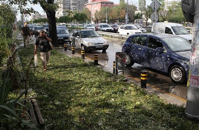 Все още има непочистени улици в столицата след бурята