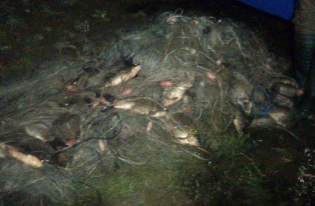 Над 130 кг риба уловена с бракониерски мрежи