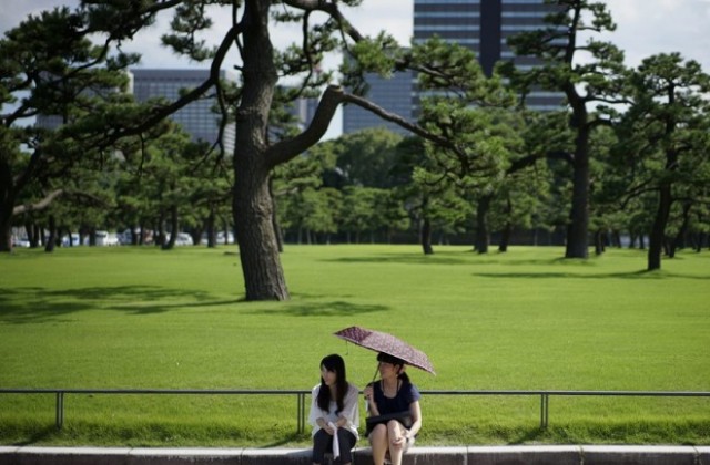 Жегата в Япония взе жертви