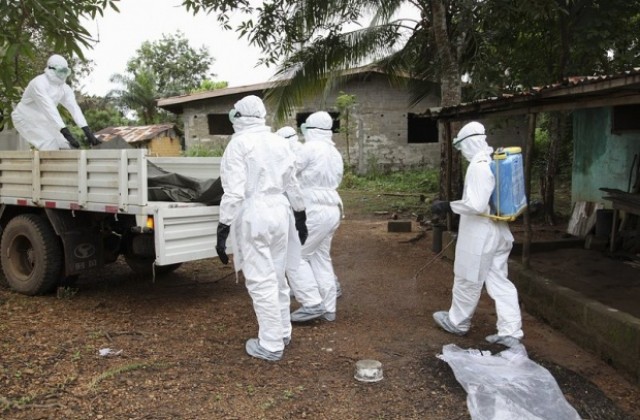 СЗО очаква появата на ваксина срещу Ебола до 2015-а