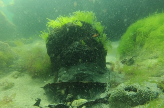 Военни обезвредиха опасна морска мина край Паша дере