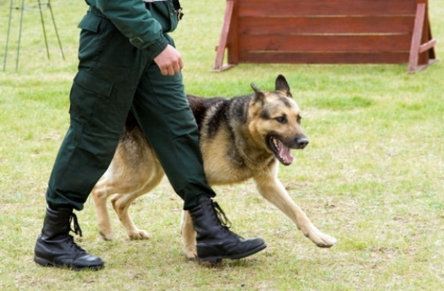 Полицейски акции в „Надежда” със следово куче
