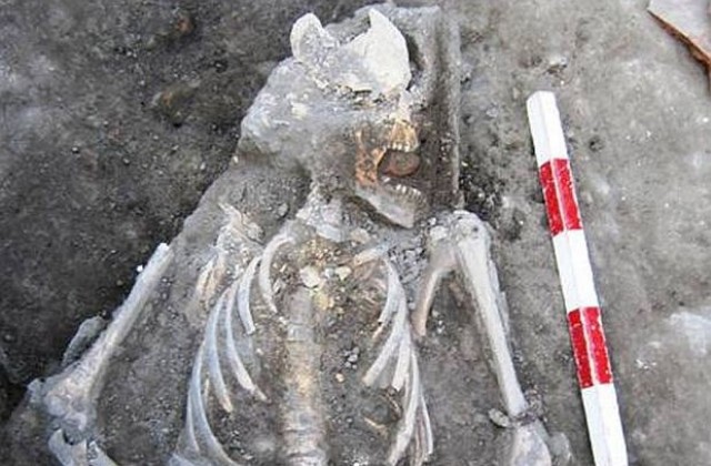 Археолози откриха вампир и в Пловдив