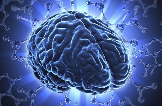 4 пловдивски университета изследват човешкия мозък