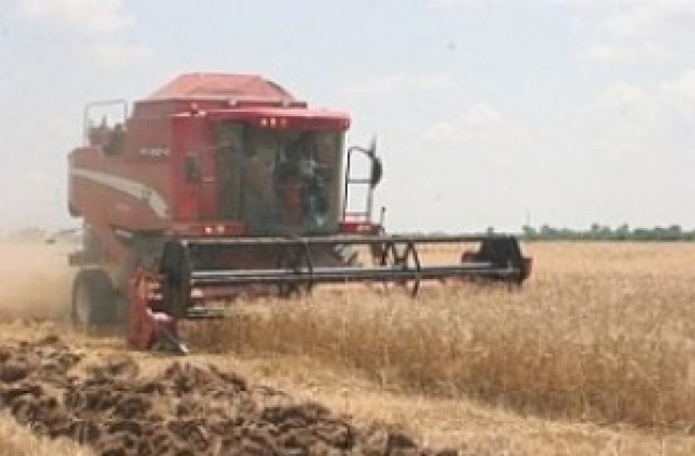 Вукодинов: Няма да има нарушения в зърнения баланс на страната