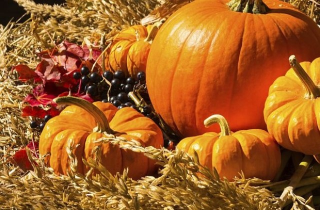 Най-вкусните и здравословни есенни плодове и зеленчуци