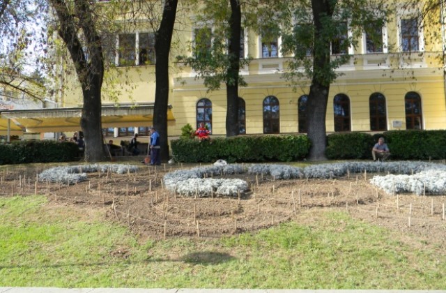 Засаждат дървета и цветя в централната част на В. Търново