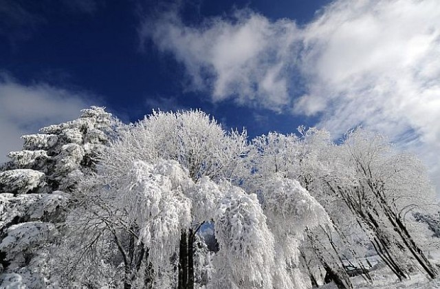 Най-студената зима в Европа от десетилетие прогнозира руски експерт