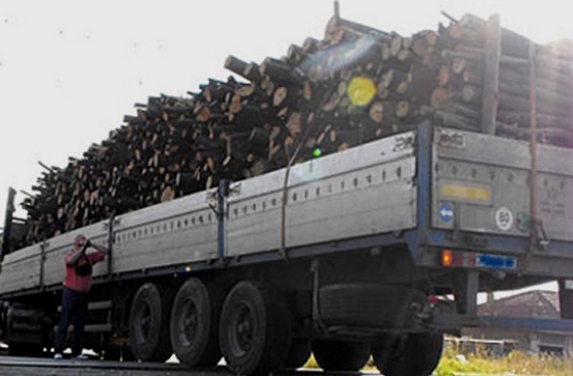 Горска стража хвана два камиона с незаконно отсечени дърва