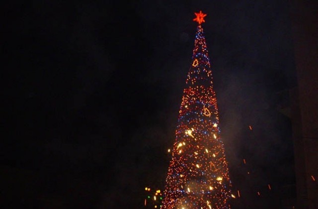 Коледната елха ще светне на 1 декември