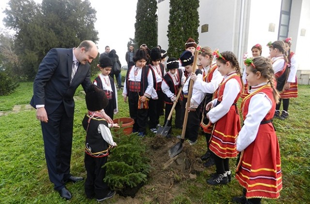 Двама Момчиловци посадиха коледно дръвче във Видин