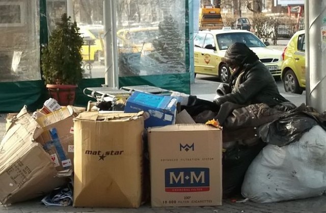 Имотни измами пълнят приюта за бездомни в Пловдив