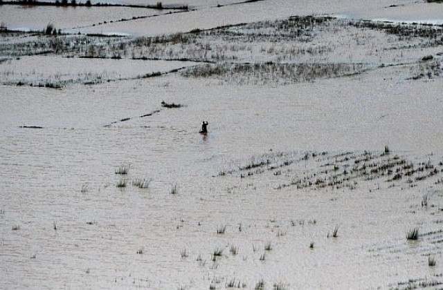 Циклон уби 46 души в Мадагаскар, 84 се удавиха при наводнения в Мозамбик