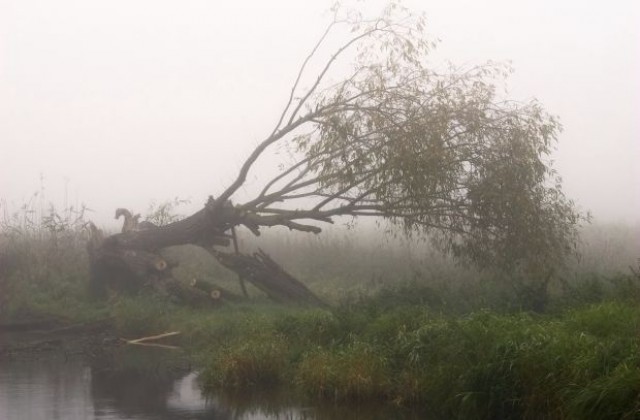 Ураганът, който вилня в през нощта в страната, пощади област Габрово