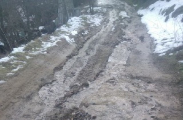 Единствената улица в Долна Козница е в изключително лошо състояние