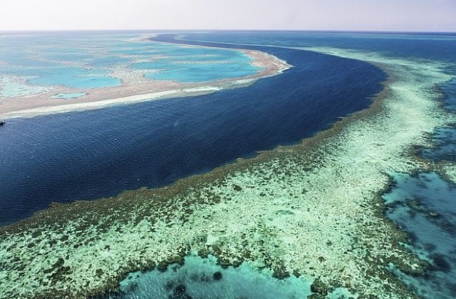 Големият бариерен риф може да се превърне в сметище