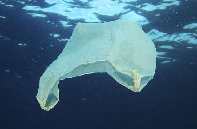 Световните океани са задръстени от милиони тонове пластмаса