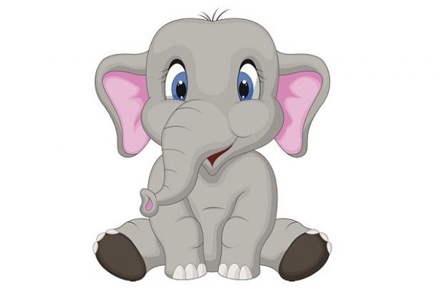 Каква е връзката между слон и заслон?