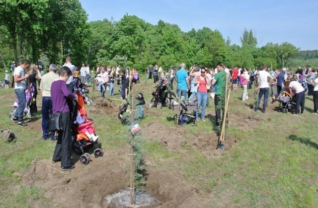 Канят 463 семейства да засадят дръвче в димитровградската Алея на живота