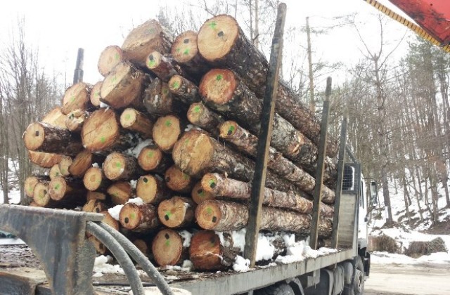 ДГС Габрово стана част от Електронната информационна система за проследяване на реализираната дървесина