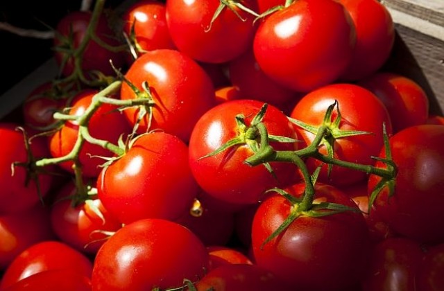 Осем любопитни, но малко известни факта за доматите