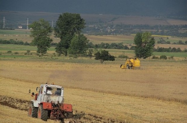 ДПС: Санкционират хиляди земеделци заради неадекватно избран срок
