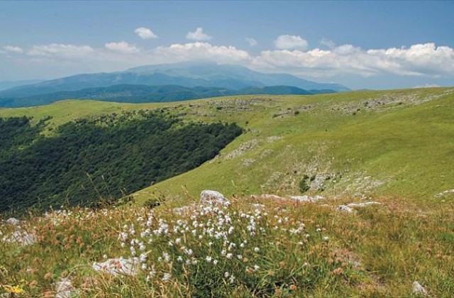 Инициативата „Кулинарните тайни на Природата” дари агнета на български фермери
