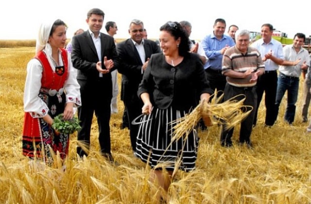 В петък земеделският министър жъне в Кубрат ръж за хляб на мира
