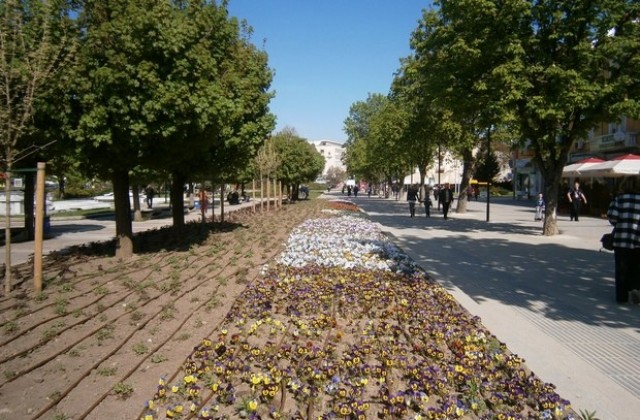Паркстрой ще стопанисва новата поливна система на площада в Плевен
