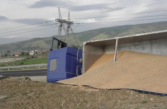 ТИР разпиля 2 тона жито край Петрич, местни жители се втурнаха да го събират