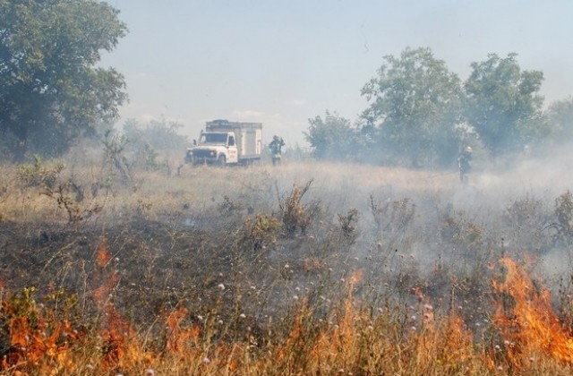 Пожар изпепели 5 дка гора край с. Радиево