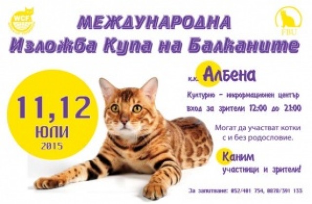 Албена ще е домакин на Международна изложба на котки
