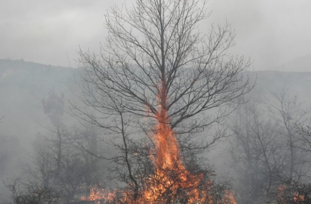 Пожар гори в района на Рила планина