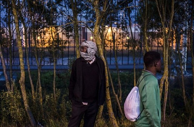 Камерън праща кучета и огради на Франция, за да спре мигрантите