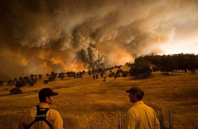 Извънредно положение в Калифорния заради горски пожари