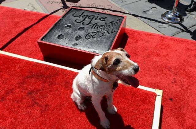 Почина териерът Уги, най-известното куче в Холивуд