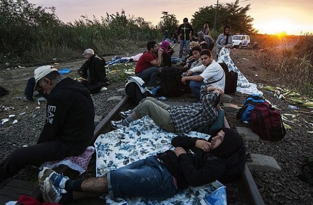 Рекорден брой имигранти са влезли в Унгария от Сърбия